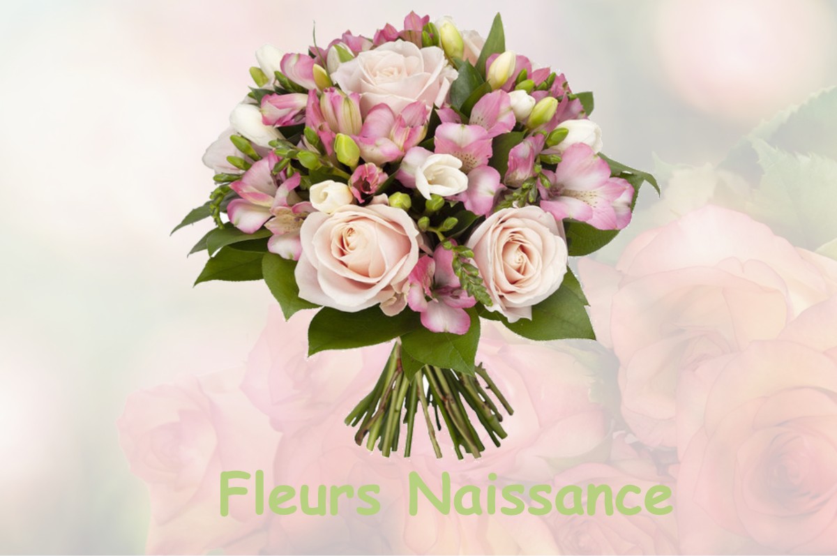 fleurs naissance LA-CHAPELLE-AUX-CHASSES